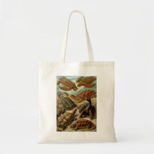 Haeckel Turtles Tote Bag