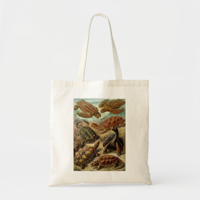 Haeckel Turtles Tote Bag (Front)