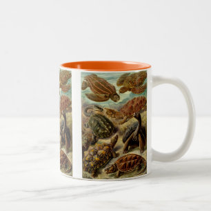 Haeckel Turtles Two-Tone Coffee Mug