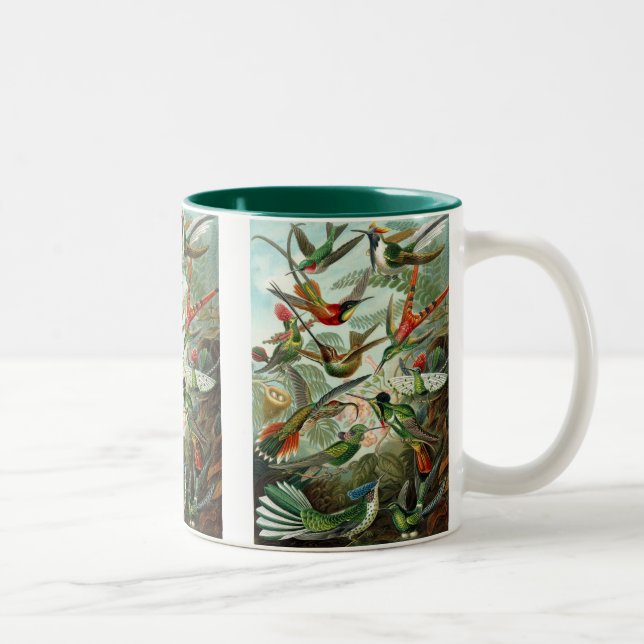 Haeckel Two-Tone Coffee Mug (Right)