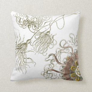Haeckel vintage sealife cushion