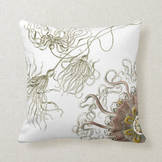 Haeckel vintage sealife cushion