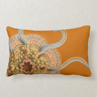 Haeckel vintage sealife lumbar cushion