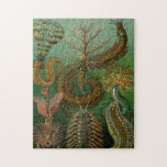 Haeckel's Chaetopoda Jigsaw Puzzle<br><div class="desc">This is a copy of a colour plate illustration from Ernst Haeckel's Kunstformen der Natur (1904), plate 96: Chaetopoda. Ernst Heinrich Philipp August Haeckel was a German zoologist, naturalist, and artist who discovered, described and named thousands of new species, mapped a genealogical tree relating all life forms. Chaetopoda are a...</div>
