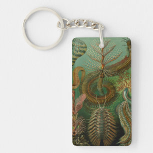 Haeckel's Chaetopoda Key Ring