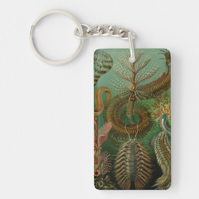 Haeckel's Chaetopoda Key Ring (Front)