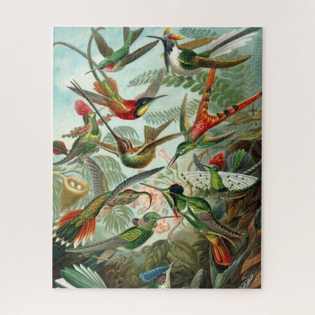 Haeckel's Hummingbirds Puzzle (Vertical)