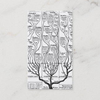 Haeckels Tree of Life profile card