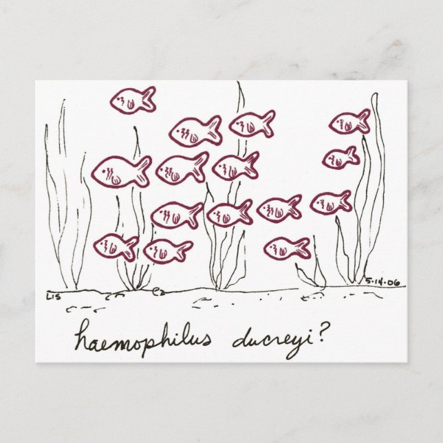 Haemophilus Ducreyi postcard (Front)