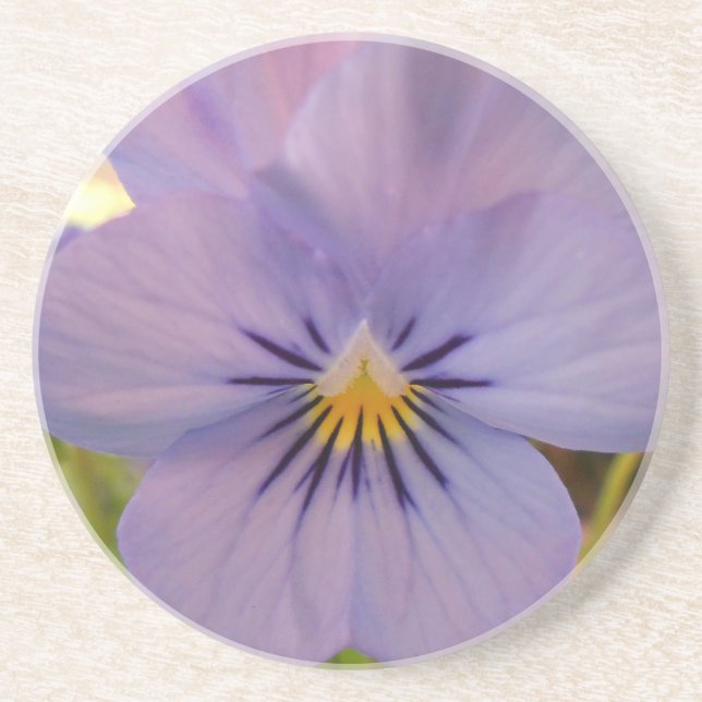 Haetzlern Coaster (Front)