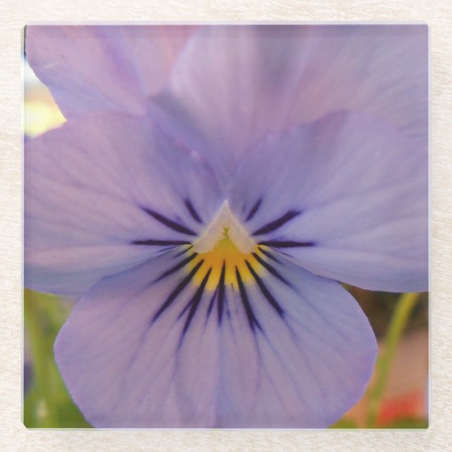 Haetzlern Glass Coaster (Front)