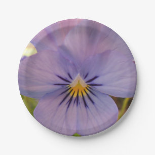 Haetzlern Paper Plate