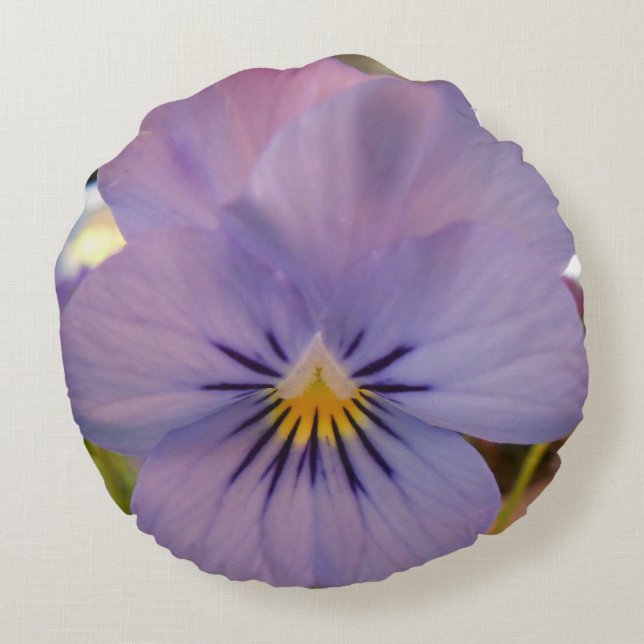 Haetzlern Round Cushion (Back)