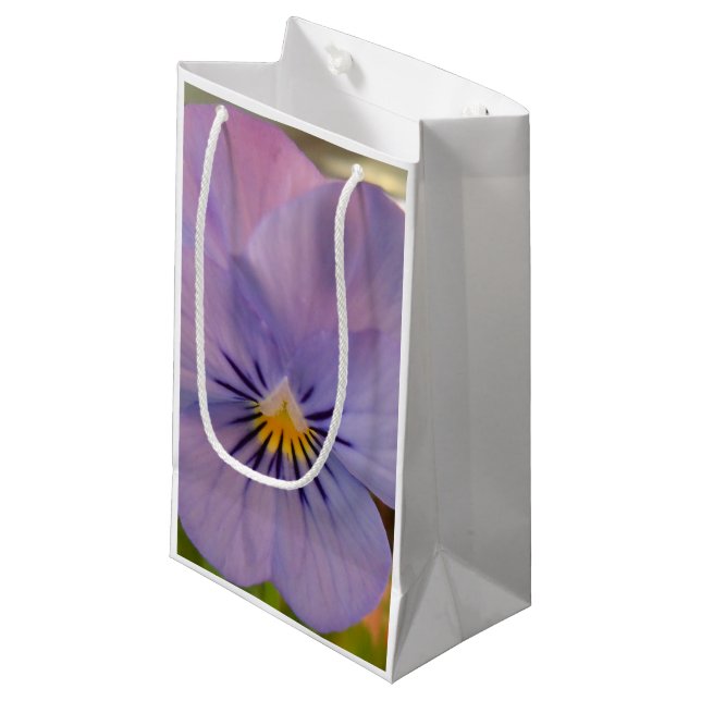 Haetzlern Small Gift Bag (Front Angled)