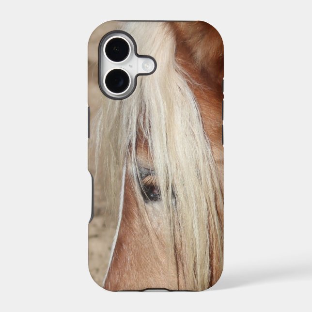 Haflinger (Back)