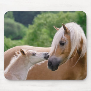 Haflinger Cute Horses Foal and Mom Cuddling Kiss - Mouse Pad