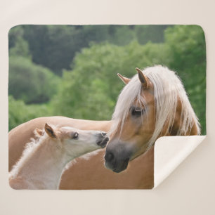 Haflinger Cute Horses Foal and Mum Cuddling Kiss . Sherpa Blanket