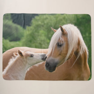 Haflinger Cute Horses Foal and Mum Cuddling Kiss , Sherpa Blanket