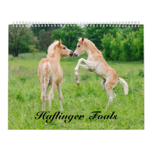 Haflinger Foals 2017 size large Calendar
