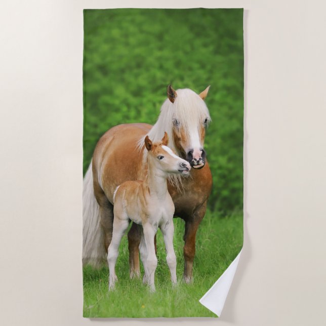 Haflinger Horse Cute Baby Foal Kiss Mum Pony Photo Beach Towel (Front)