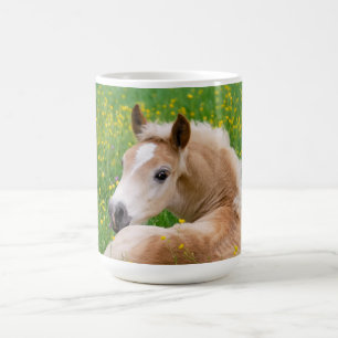 Haflinger Horse Cute Foal in a Flowerbed Photo _ Coffee Mug