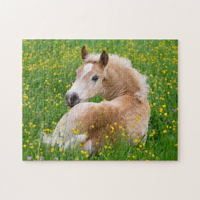 Haflinger Horse Cute Foal Rest in Flowerbed Jigsaw Puzzle (Horizontal)