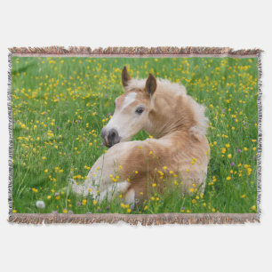 Haflinger Horse Foal Resting in a Flowerbed - Throw Blanket