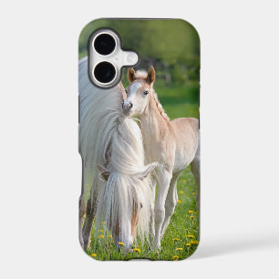 Haflinger Horses Cute Baby Foal With Mum Photo -.