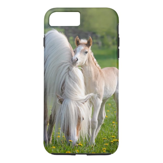 Haflinger Horses Cute Baby Foal With Mum Photo -. Case-Mate iPhone Case (Back)