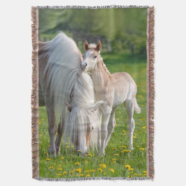 Haflinger Horses Cute Baby Foal With Mum Photo , Throw Blanket (Front Vertical)