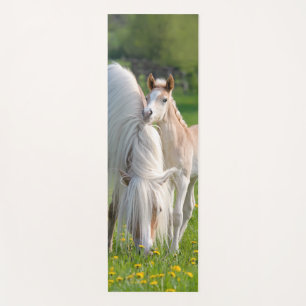 Haflinger Horses Cute Baby Foal With Mum Photo - Yoga Mat