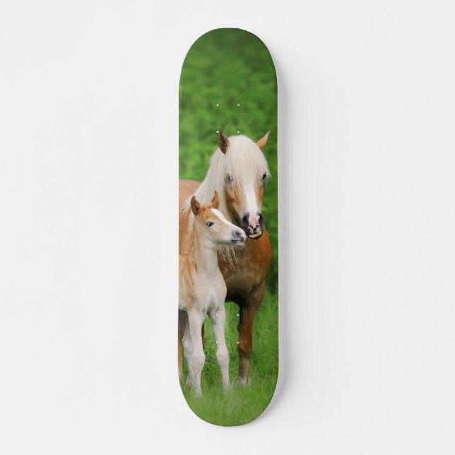 Haflinger Horses Cute Foal Kiss Mum Photo Funny Skateboard (Front)
