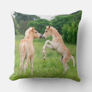Haflinger horses cute foals rearing and playing - cushion