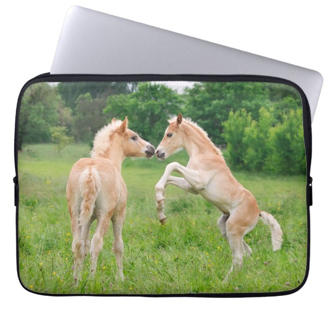 Haflinger horses cute foals rearing laptop sleeve (Front)