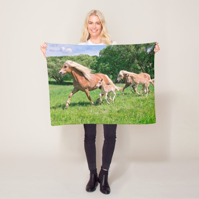 Haflinger Horses with Cute Foals Run Funny Photo / Fleece Blanket (In Situ)