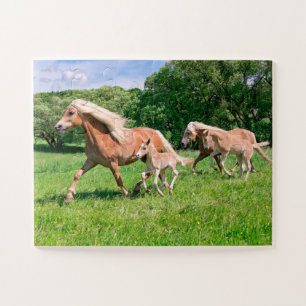 Haflinger Horses with Cute Foals Run Funny Photo * Jigsaw Puzzle