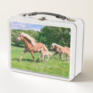 Haflinger Horses with Cute Foals Run Funny Photo " Metal Lunch Box