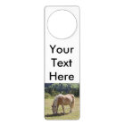 Haflinger Palomino Pony in Summer Pasture Photo