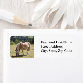Haflinger Palomino Pony in Summer Pasture Photo Return Address Label