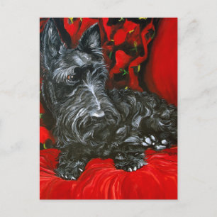 Haggis the Scottish Terrier Postcard