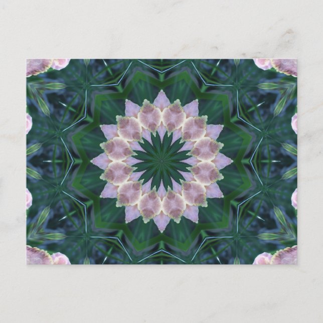 Hagi Mandala Postcard (Front)