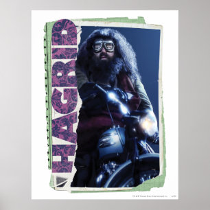 Hagrid Poster