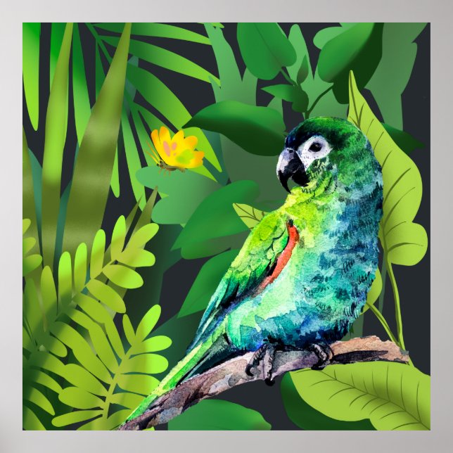 Hahn´s Macaw in a jungle  Poster (Front)