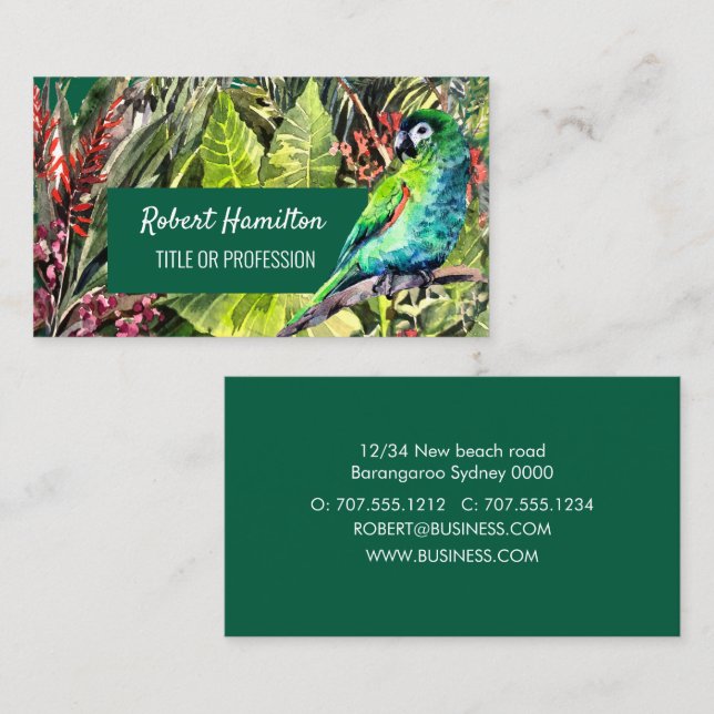 Hahn´s Macaw parrot watercolor painting Business Card (Front/Back)