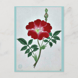 Hai kai kuwa - March-April Ukiyo-e. Postcard