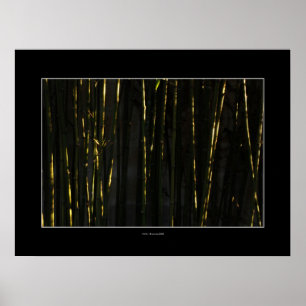 HAIKU  Bamboo trees Poster