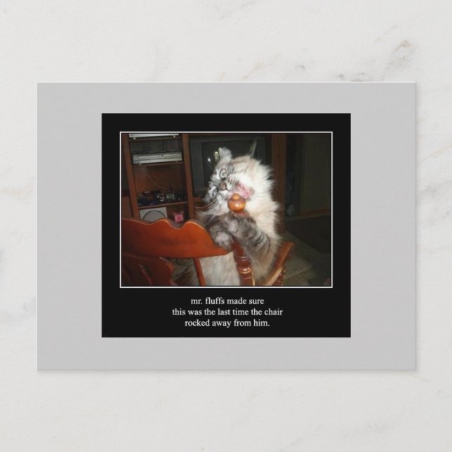 haiku cat 15 postcard (Front)