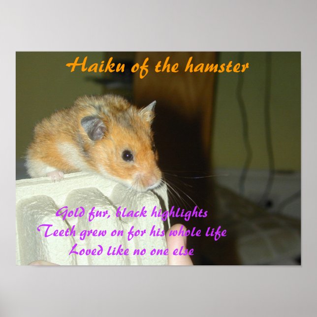 Haiku of the Hamster 1 Poster (Front)