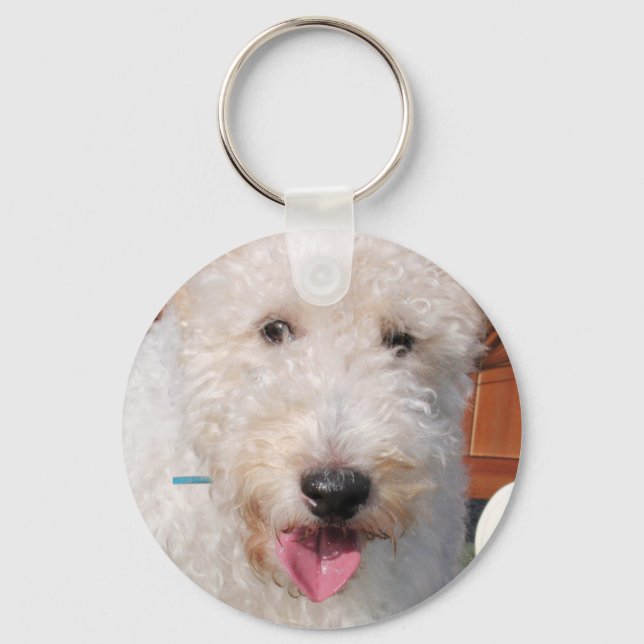 Hailey - Wire Fox Terrier Photo-8 Key Ring (Front)