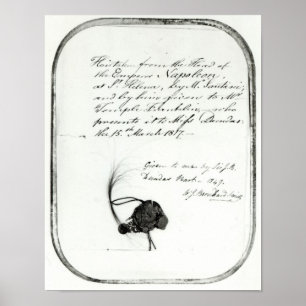 Hair cut from the head of Emperor Napoleon Poster